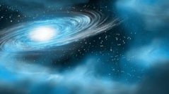 cosmos