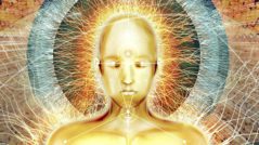 consciousness